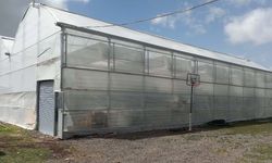 Jeotermal Serada Devrim: Sandıklı’da Mevsim Dışı Kiraz Hasadı