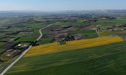 Kanola tarlaları havadan görüntülendi!