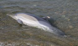 Kayseri’de Hırsızlık Şebekesine Operasyon: 4 Kişi Tutuklandı