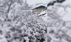 Malatya'da kar yağışı etkili oldu