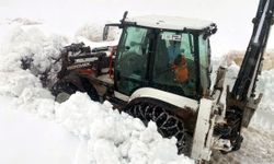 Nisan ayında karla mücadele