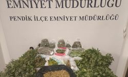 Pendik'te uyuşturucu operasyonu
