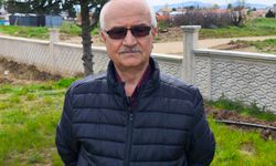 Trakya’da kanola tarlaları sarıya büründü: Ekiliş alanı 2-3 kat arttı SPOT