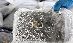 Türkiye ve Suriye'den ortak operasyon