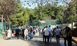 Türkiye'de doğan ilk zürafanın ismi ne olacak?