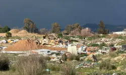 Kuş Cenneti Çöplüğe Döndü: 263 Tür Tehlikede