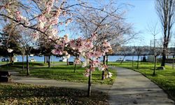Nisan Ayı Başladı: Hava Değişimi Sağlığı Nasıl Etkiliyor?