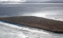 Çıldır Gölü Göçmen Kuşlarla Doldu