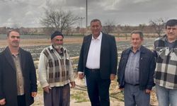 Niğde’de Çilek Üreticisi Dertli: “35 Yıldır Böyle Zor Dönem Görmedim”