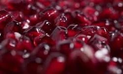 Narın sırrı ortaya çıktı! Bilim insanları neden bu kadar önemli diyor?