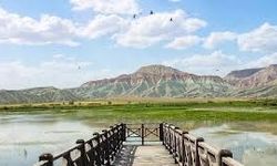 Nallıhan Kuş Cenneti göçmen kuşlarla şenlendi