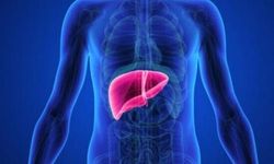 Ameliyatsız “uydu karaciğer” dönemi başlıyor