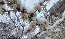 Nisan Ortasında Kar Sürprizi: Beypazarı Beyaza Büründü