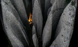 TFMD Türkiye Güzellikleri Fotoğraf Ödülleri sahiplerini buldu