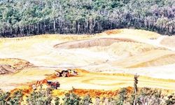 “Ormanlarda madencilik gelişigüzel yapılan bir faaliyet değil”