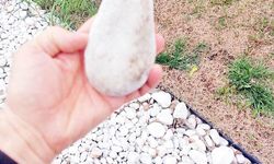 Belediyelerin bilinçsiz peyzaj düzenlemesi