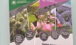 Doğadaki Aromatik Bitkiler Kiraya Veriliyor