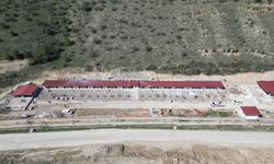 Ankara’nın En Büyük Evcil Hayvan Parkı Açılıyor!