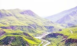 Pülümür’de hayvancılık ve arıcılık tehdit altında