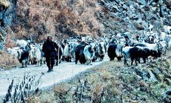 Keçi 501” Belgeseli Seyirci Karşısında