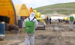 Keçiören’de yaz öncesi ilaçlama seferberliği başladı