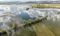 Sivas'ta 1500 dönüm tarım arazisi su altında
