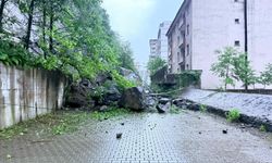Artvin'de sağanak dereyi taşırdı