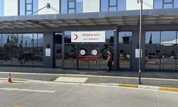 Aydın'da kurban kesimi sırasında 277 kişi yaralandı