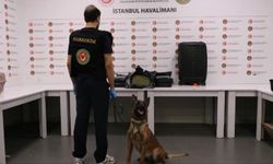 İstanbul Havalimanı'nda 19 kilogram uyuşturucuyla yakalandılar!
