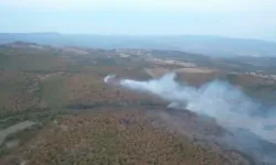 Kocaeli'de ormanlara giriş yasak!