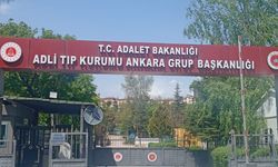 Nallıhan’da Kardeş Kavgası Cinayetle Bitti