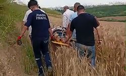 Otomobil şarampole devrildi
