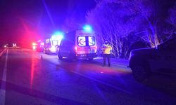 Sivas'ta otomobil yol kenarındaki ağaca çarpıp devrildi
