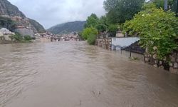 Yeşilırmak Nehri taştı, bazı evleri su bastı