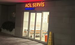 Zülfü Livaneli'nin eşi yaralandı