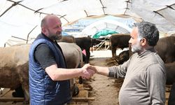 Başkentte Kurban Pazarı Hareketlendi