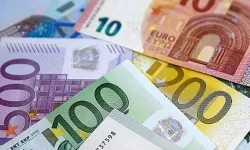 Alanya’da düşürülen 700 euro sahibine geri döndü