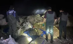 Van’da kaçak inci kefali operasyonu