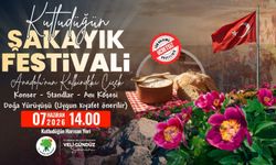 Mamak'ta Şakayık Hasadı Başlıyor: Gözler O Tarihte!