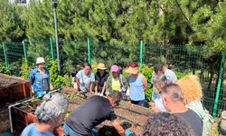 Çankaya’nın Kent Bostanlarında Atalık Fideler Toprakla Buluştu
