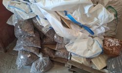 30 ton bozulmuş ürün imha edildi