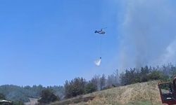 Adana'da orman yangını