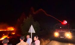 Anız Yangını Büyüdü, 200 Dönümlük Alan Kül Oldu