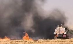 Anız yangını soruşturmasında 14 gözaltı
