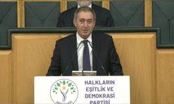 Bakırhan’dan Meclis’e çağrı: “Çerçeve yasa Meclis kapanmadan çıkarılmalı”