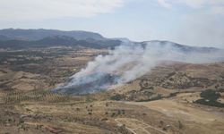 Çanakkale'de orman yangını kontrol altına alındı