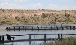 Denizi Olmayan Kayseri’den 49 Ülkeye Somon İhracatı