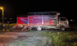 Gece Saatlerinde Peş Peşe Alevler Yükseldi: 2 Kamyon Yandı
