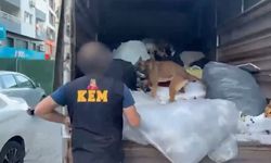 İzmir'de 371 kilogram uyuşturucu yakalandı