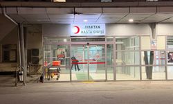 Mantar Toplamak İçin Çıktığı Dağda Hayatını Kaybetti